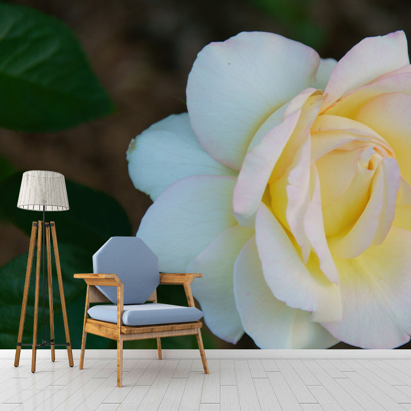 Rose Contemporary Mural Decal Sitting Room Moisture Resistant Wall Decor