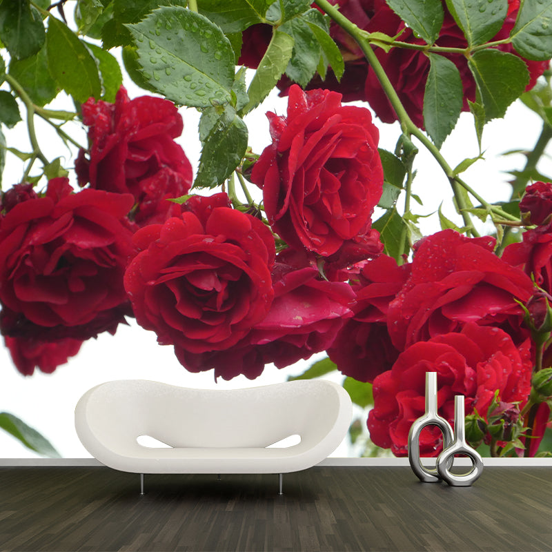 Roses Contemporary Mural Decal Sitting Room Moisture Resistant Wall Decor