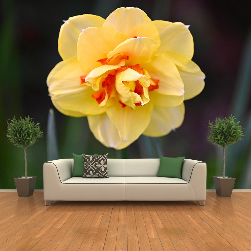 Customized Contemporary Daffodil Mural Mildew Resistant for Sitting Room Bedroom
