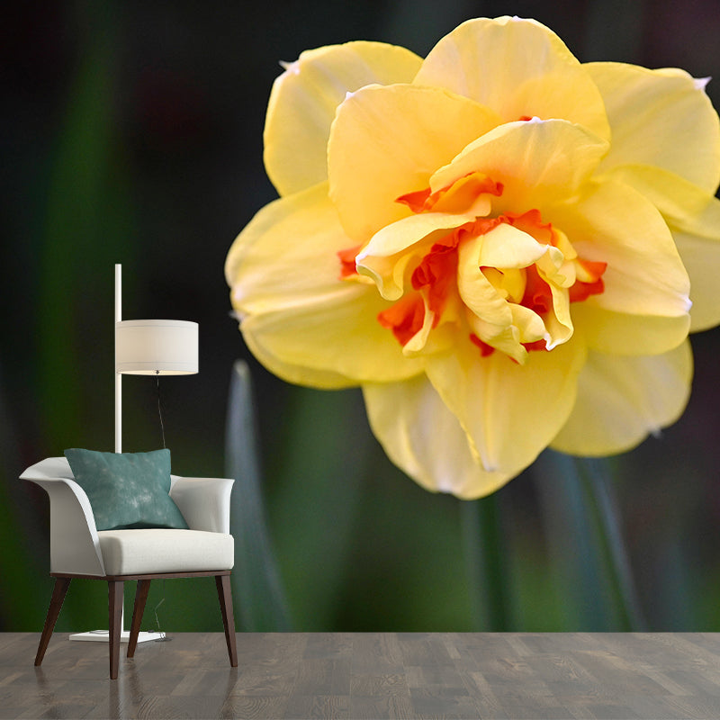 Customized Contemporary Daffodil Mural Mildew Resistant for Sitting Room Bedroom