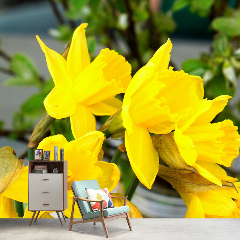 Customized Contemporary Daffodil Mural Mildew Resistant for Sitting Room Bedroom