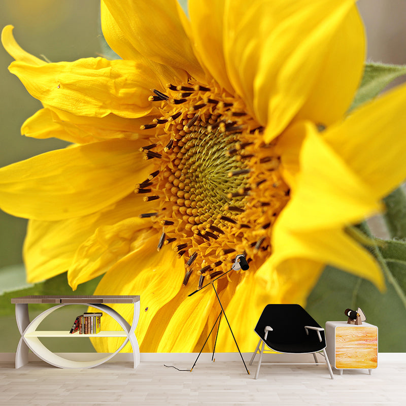Customized Contemporary Sunflower Mural Mildew Resistant for Sitting Room Bedroom