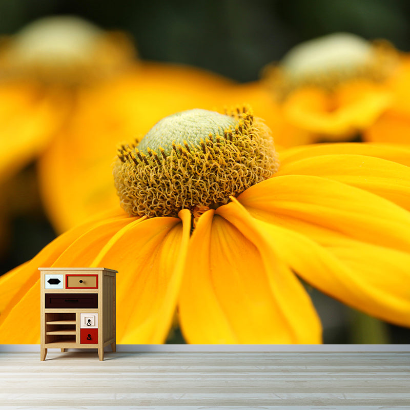 Customized Contemporary Coneflower Mural Mildew Resistant for Sitting Room Bedroom