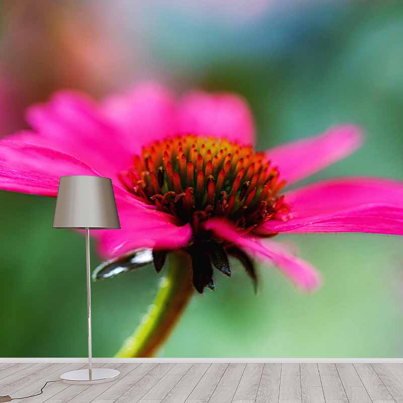 Customized Contemporary Coneflower Mural Mildew Resistant for Sitting Room Bedroom