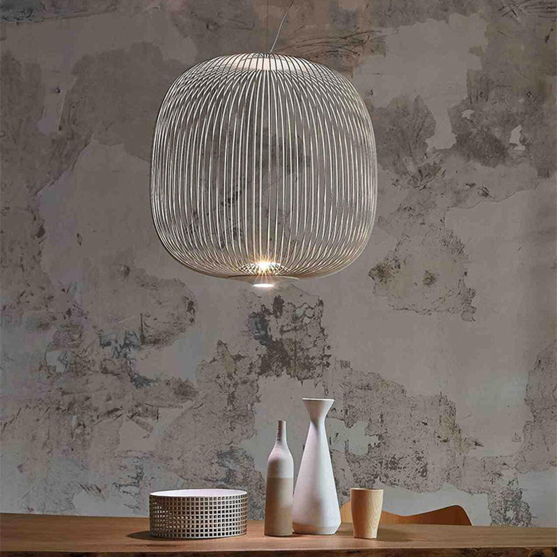 Simple Metal Hanging Light, Globe and Cage Shade 2-Light Hanging Lighting