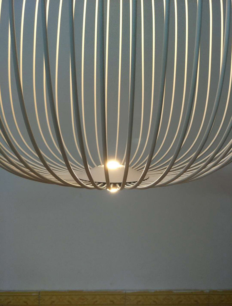 Simple Metal Hanging Light, Globe and Cage Shade 2-Light Hanging Lighting
