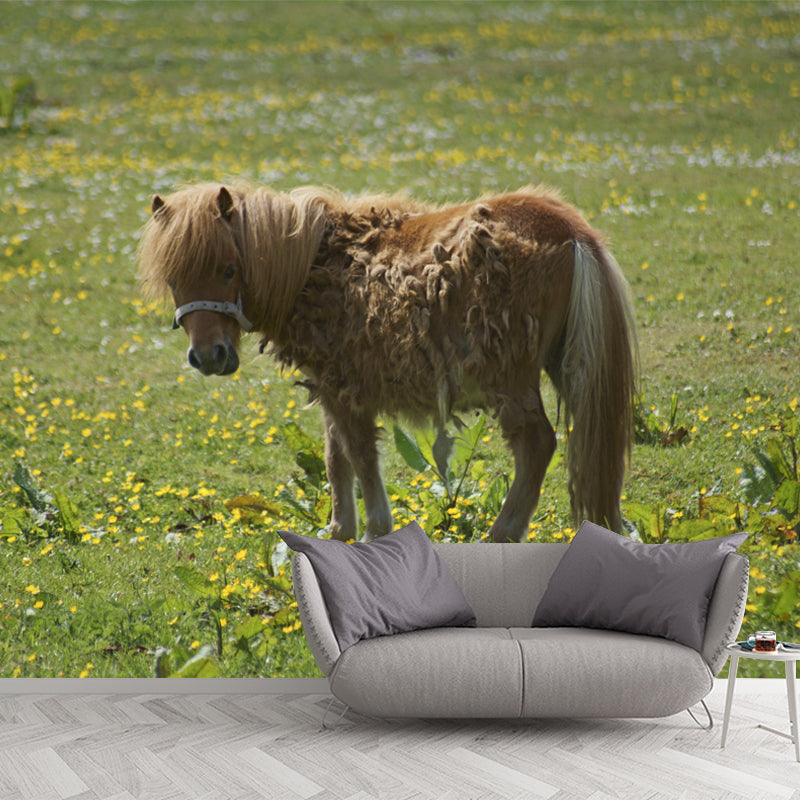 Horse Mural Contemporary Mildew Resistant Wall Covering for Living Room