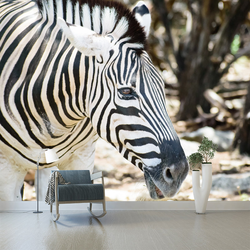 Zebra Wall Decal Animal Home Art Interior Decoration, Moisture Resistant