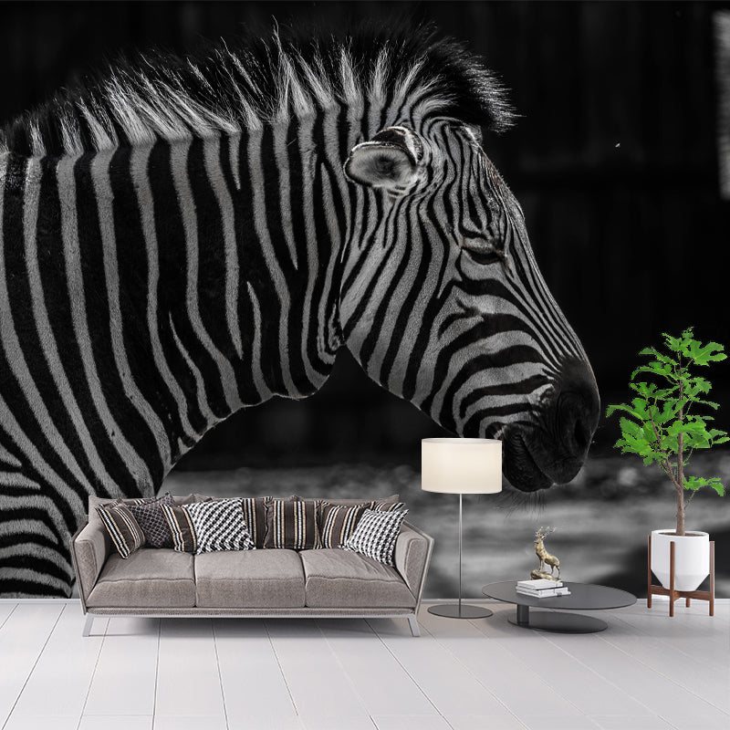 Zebra Wall Decal Animal Home Art Interior Decoration, Moisture Resistant