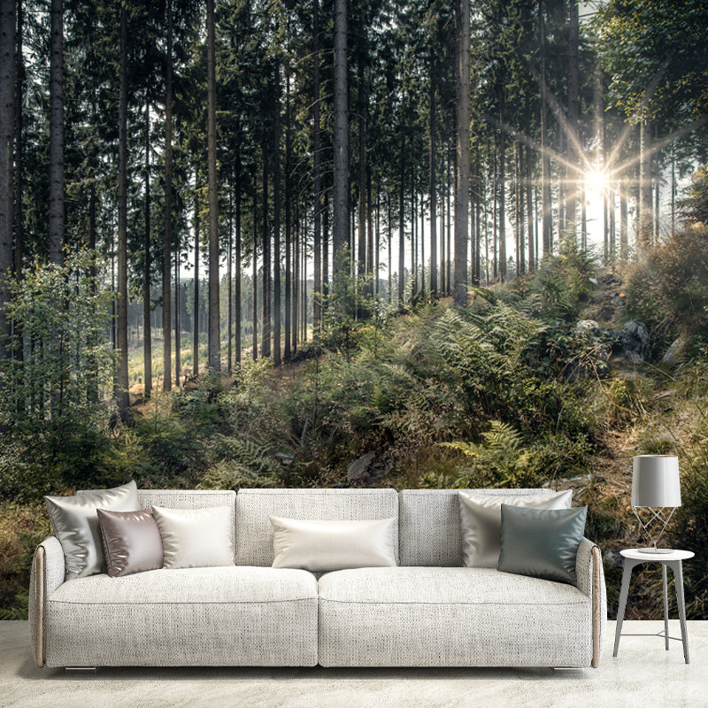 Modern Forest Mural Decal Water Resistant Wall Covering for Home Interior Decoration