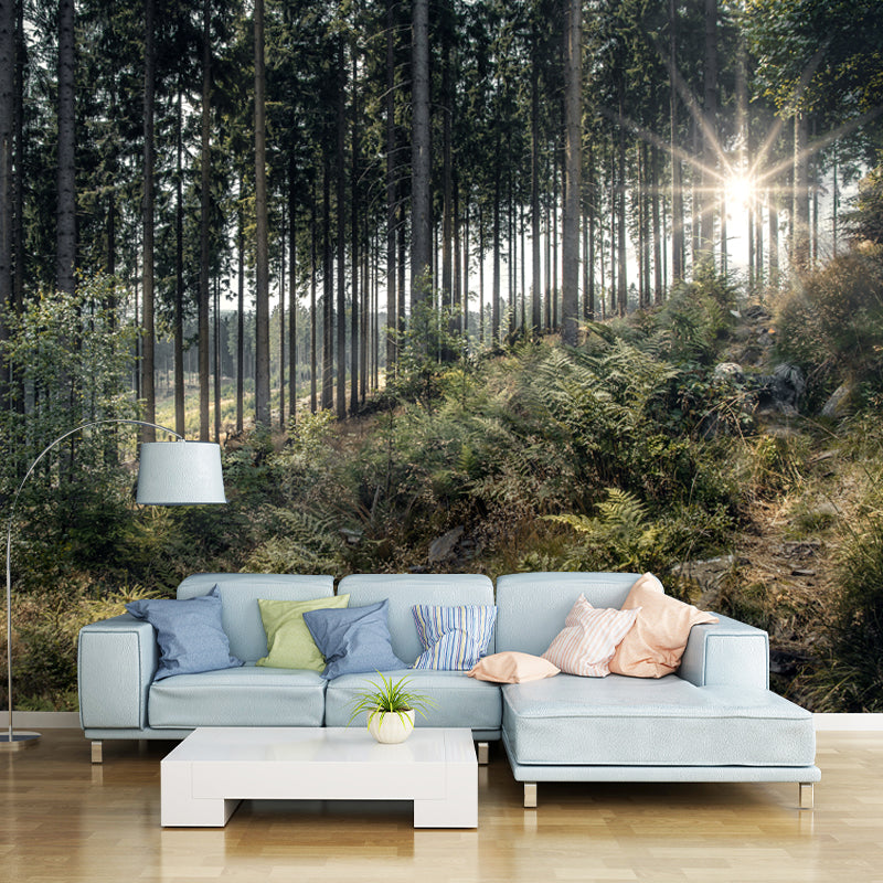 Modern Forest Mural Decal Water Resistant Wall Covering for Home Interior Decoration