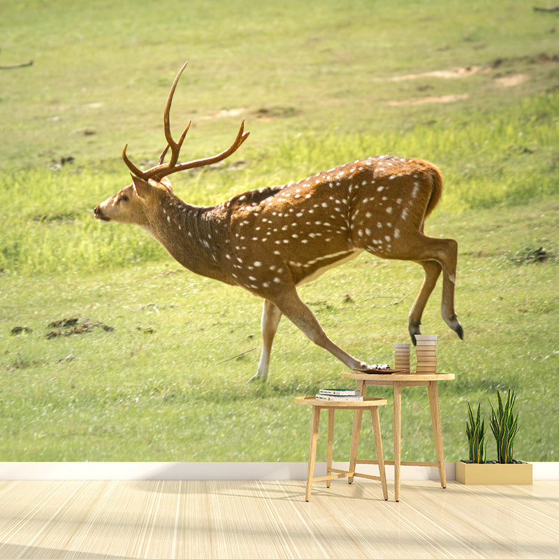 Deer Mural Decal Moisture Resistant Wall Covering for Home Living Room