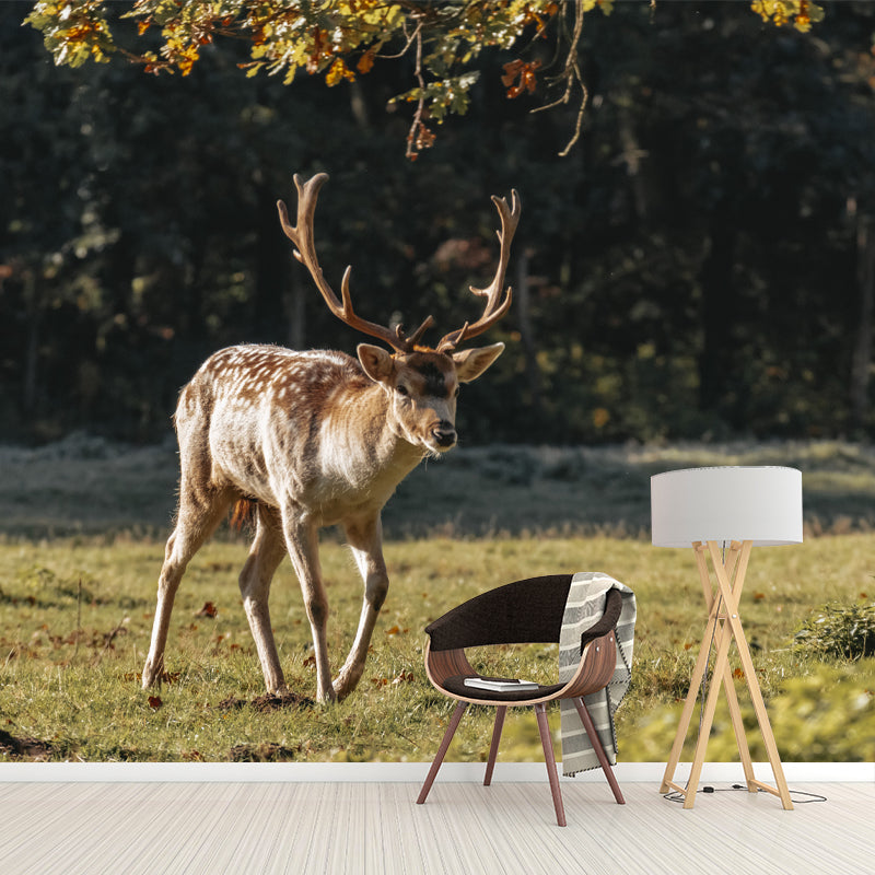 Deer Mural Decal Moisture Resistant Wall Covering for Home Living Room