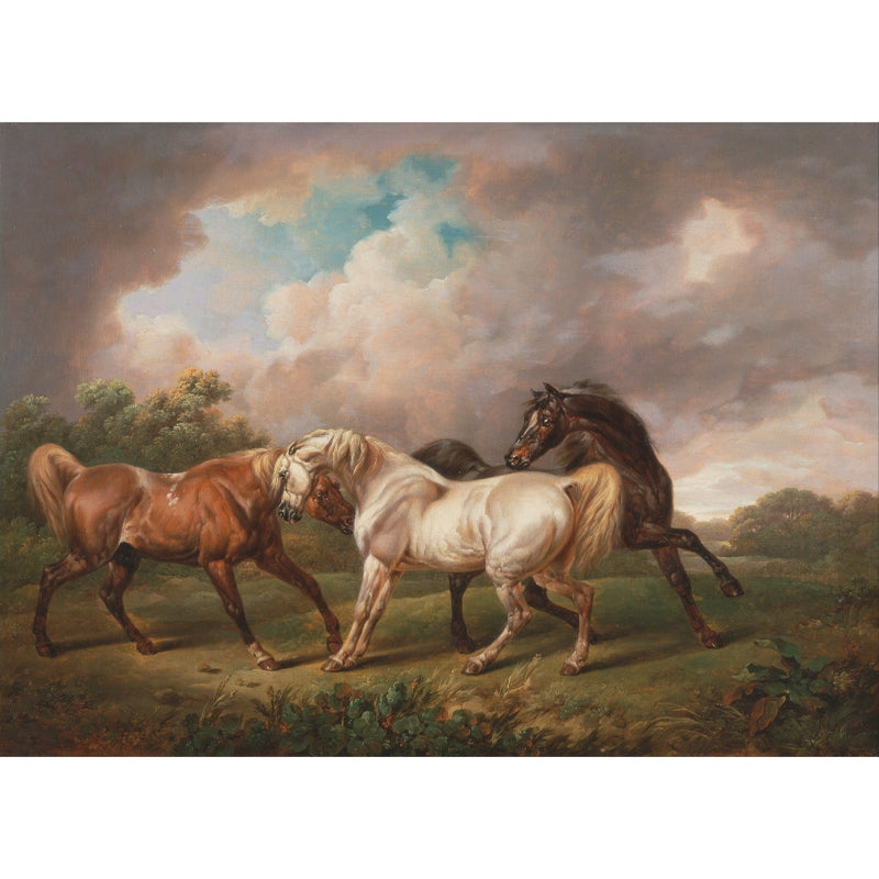 Horse Animal Mural for Sleeping Room Moisture Resistant Wall Decor, Customized Size