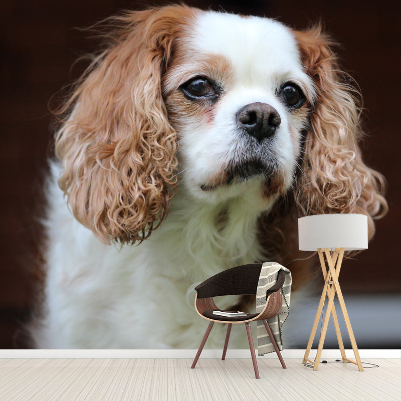 Cute Dog Mural Wallpaper Photography Mildew Resistant for Living Room Bedroom