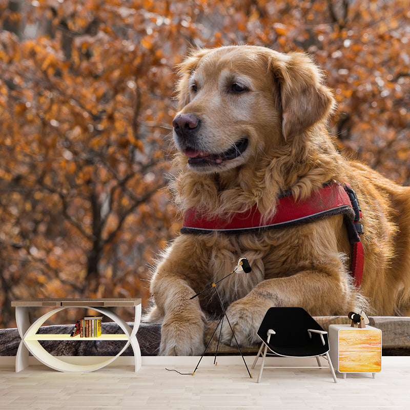 Cute Dog Mural Wallpaper Photography Mildew Resistant for Living Room Bedroom