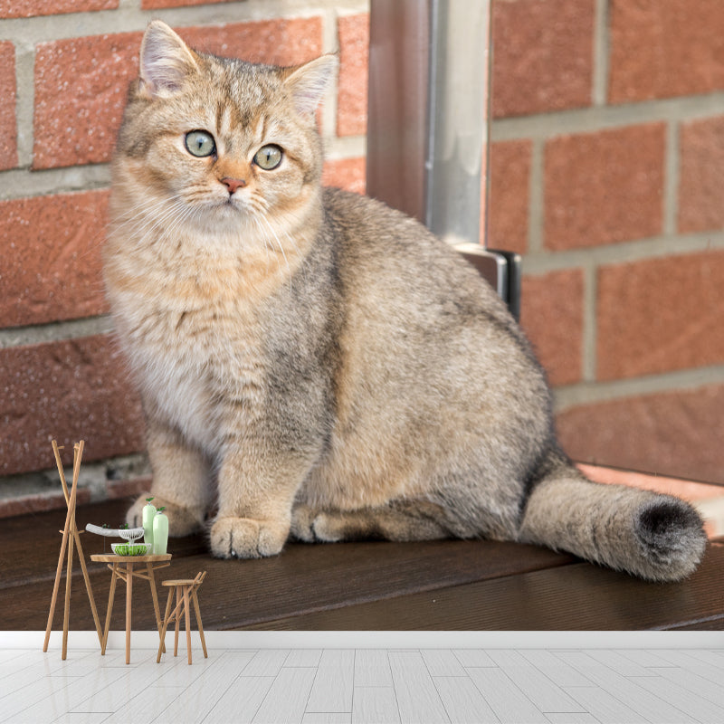 Cat Mural Wallpaper Stain Proof Modern Bedroom Wall Decoration, Customized Size