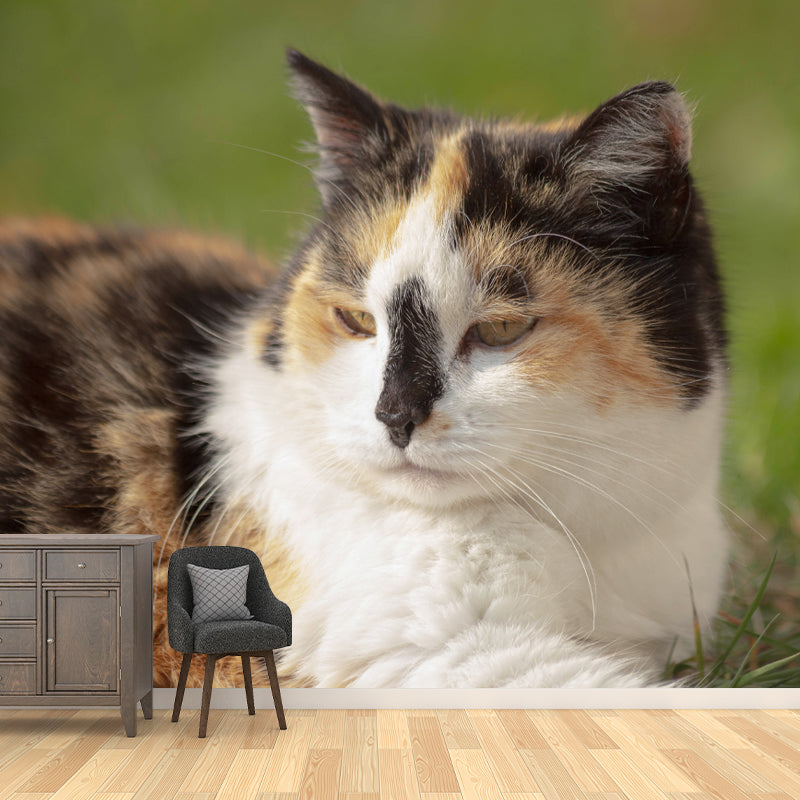 Cat Mural Wallpaper Stain Proof Modern Bedroom Wall Decoration, Customized Size