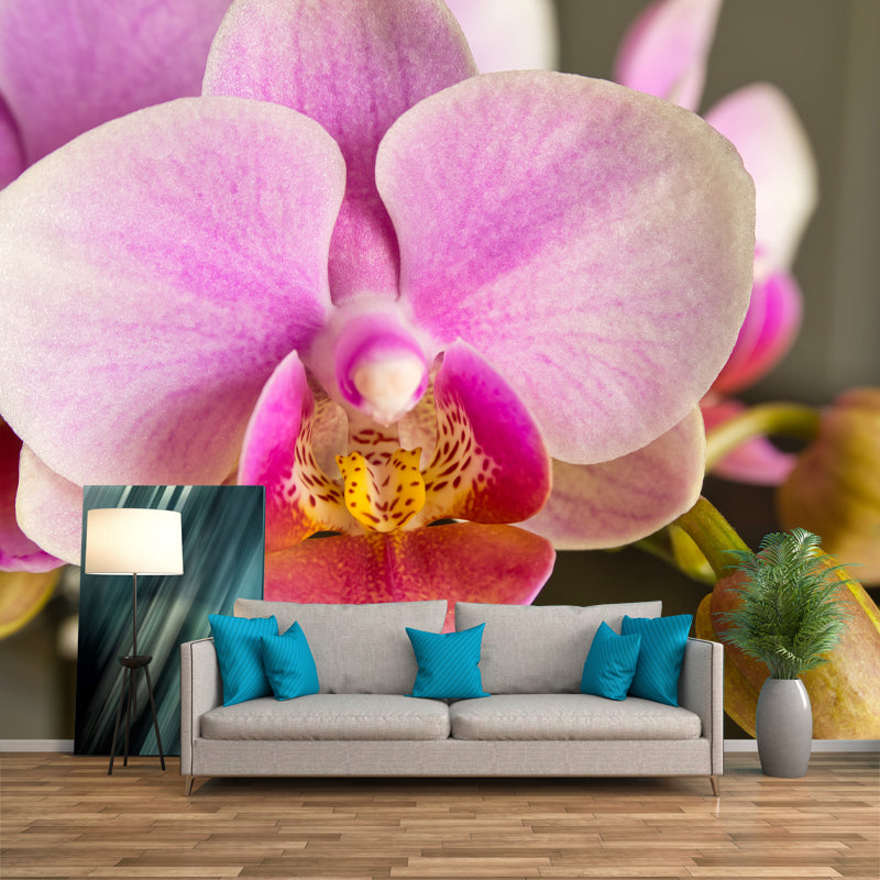 Orchid Contemporary Mural Decal Sitting Room Moisture Resistant Wall Decor