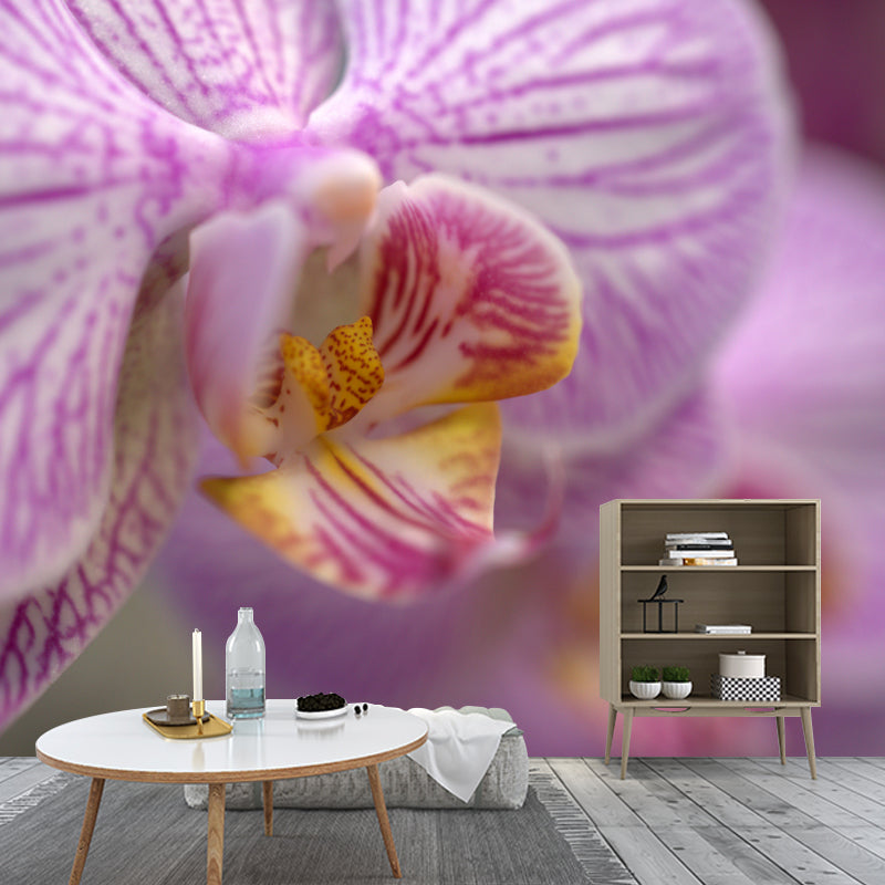 Orchid Contemporary Mural Decal Sitting Room Moisture Resistant Wall Decor