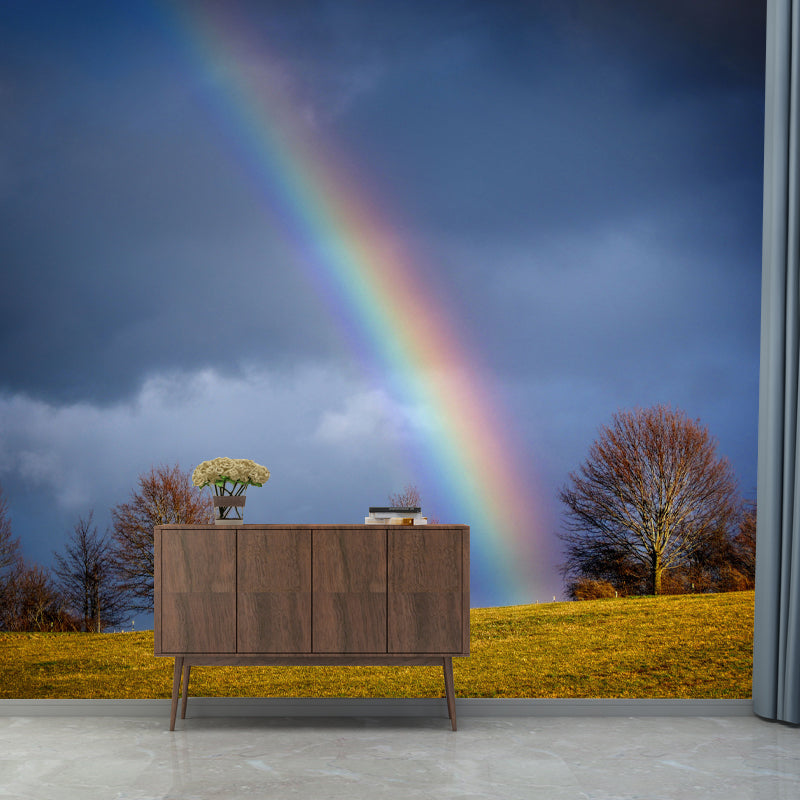 Sky with Rainbow Mural Wallpaper House Wall Covering, Custom Size Available