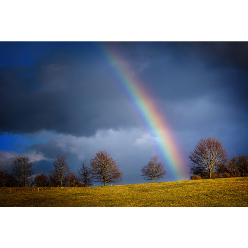 Sky with Rainbow Mural Wallpaper House Wall Covering, Custom Size Available