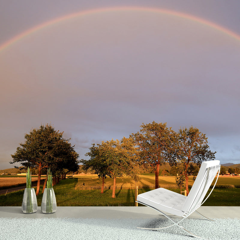 Sky with Rainbow Mural Wallpaper House Wall Covering, Custom Size Available