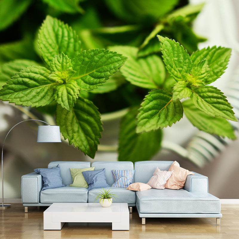 Green Mint Wall Covering for Living Room Moisture Resistant, Made to Measure