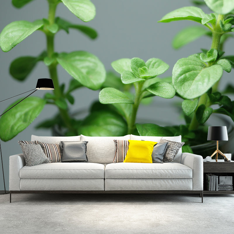 Green Mint Wall Covering for Living Room Moisture Resistant, Made to Measure