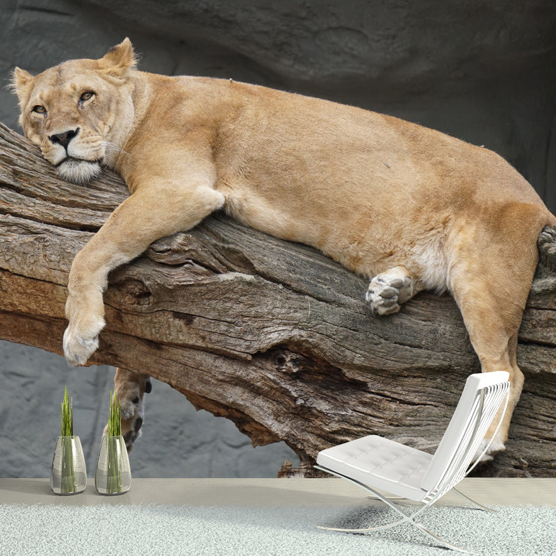 African Lion Animal Mural Wallpaper for Living Room Bedroom, Made to Measure