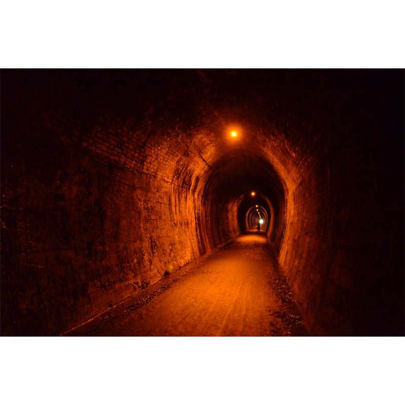 Spatial Extension Wall Covering for Living Room Stain Resistant, Made to Measure