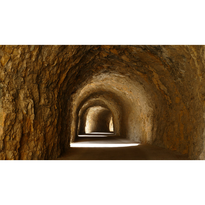 Contemporary Stain Resistant Wall Decor Spatial Extension Mural for Living Room