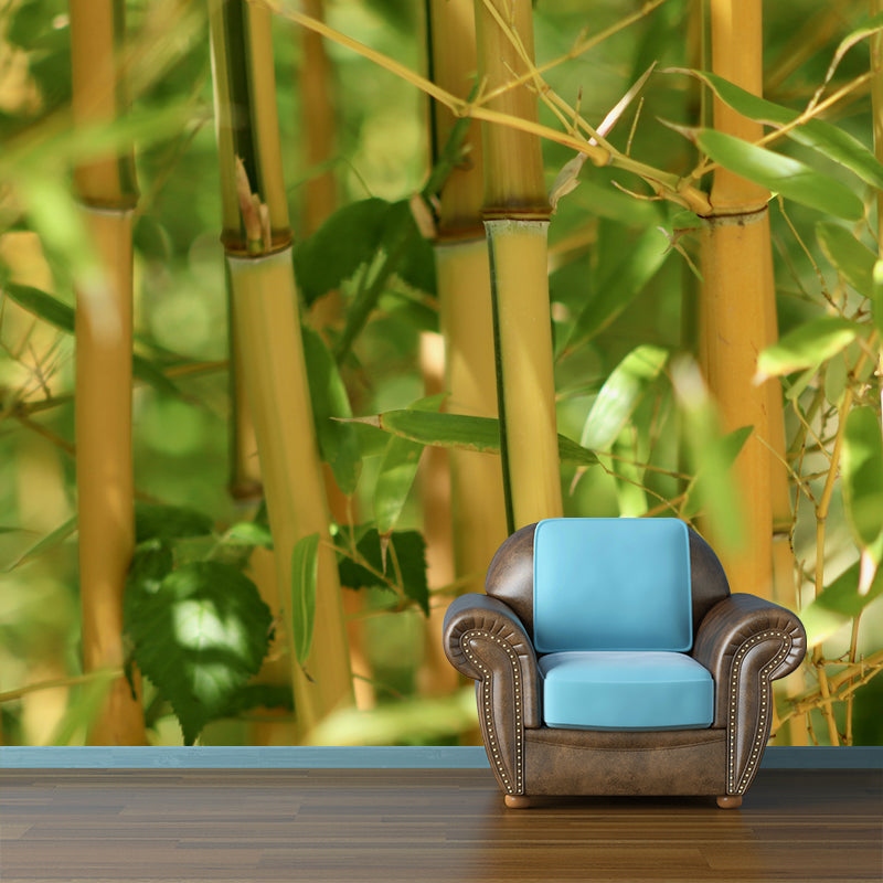 Bamboo Plant Mural Wallpaper for Sleeping Room Waterproofing, Made to Measure