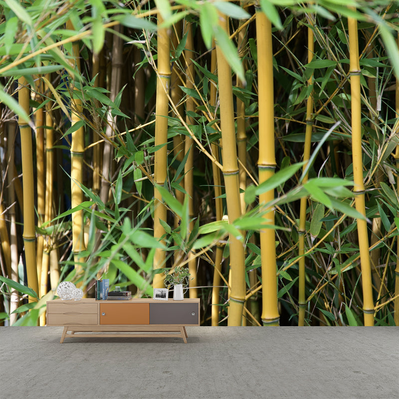 Bamboo Plant Mural Wallpaper for Sleeping Room Waterproofing, Made to Measure
