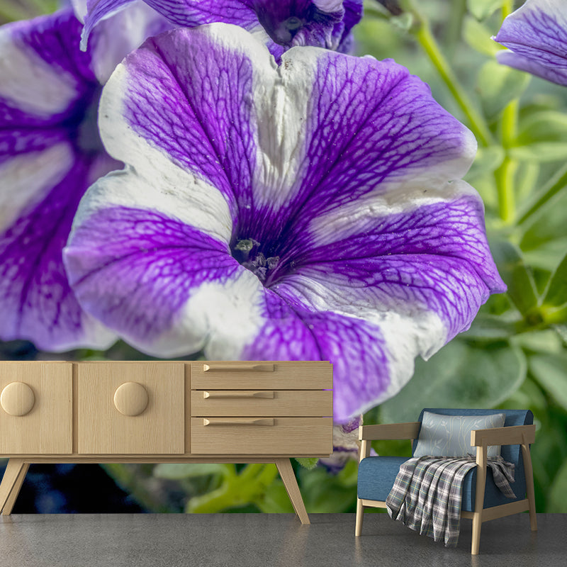 Morning Glory Mural Wallpaper Contemporary Bathroom Wall Covering, Waterproofing