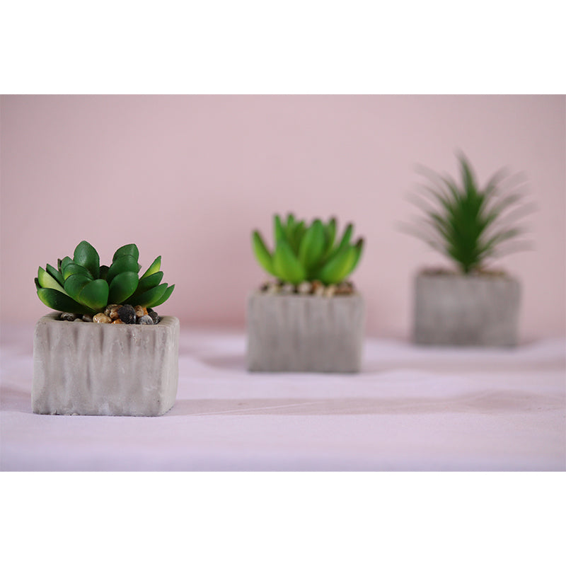 Plant Interior Decoration Wall Covering for Sitting Room, Custom Size Available