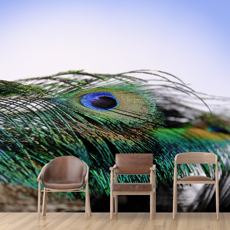Peacock Feather Waterproof Sitting Room Customised Wall Covering, Made to Measure