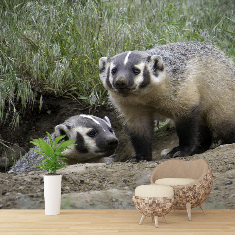 Badger Contemporary Wall Mural Modernist Wall Covering for Bedroom Decor