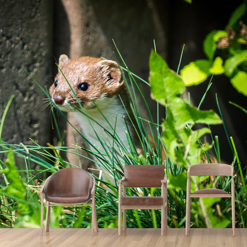 Weasel Contemporary Wall Mural Modernist Wall Covering for Bedroom Decor