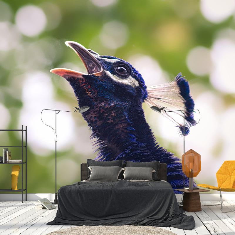 Photography Peacock Mural Decorative Wallpaper Decor for Living Room Bedroom