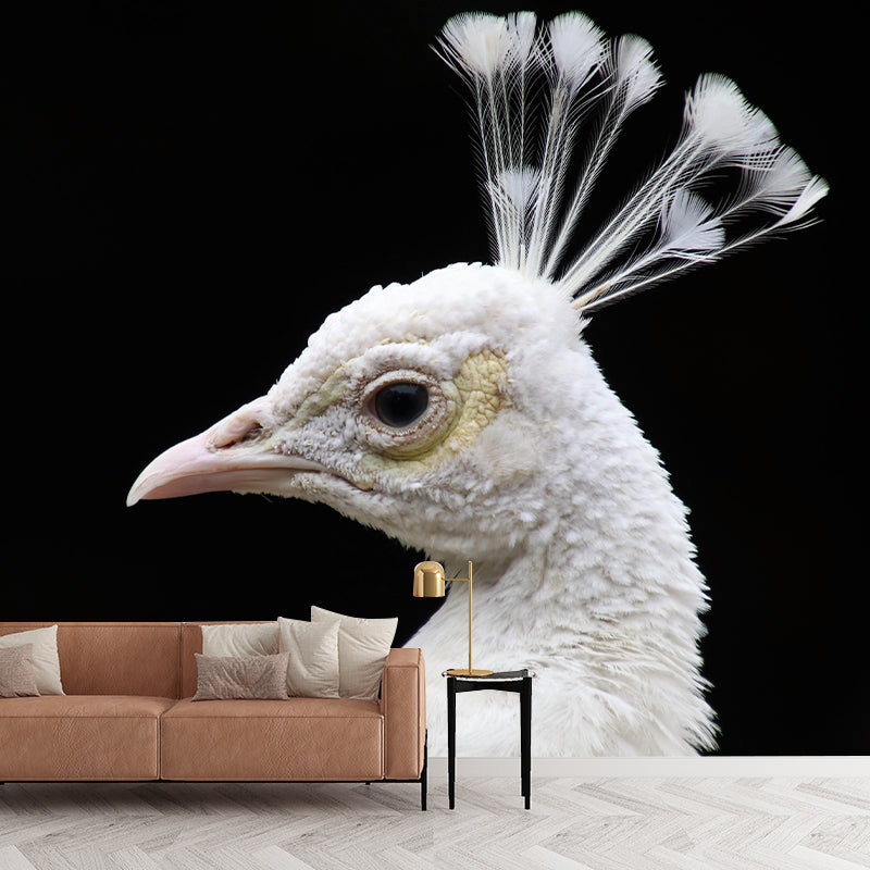 Photography Peacock Mural Decorative Wallpaper Decor for Living Room Bedroom