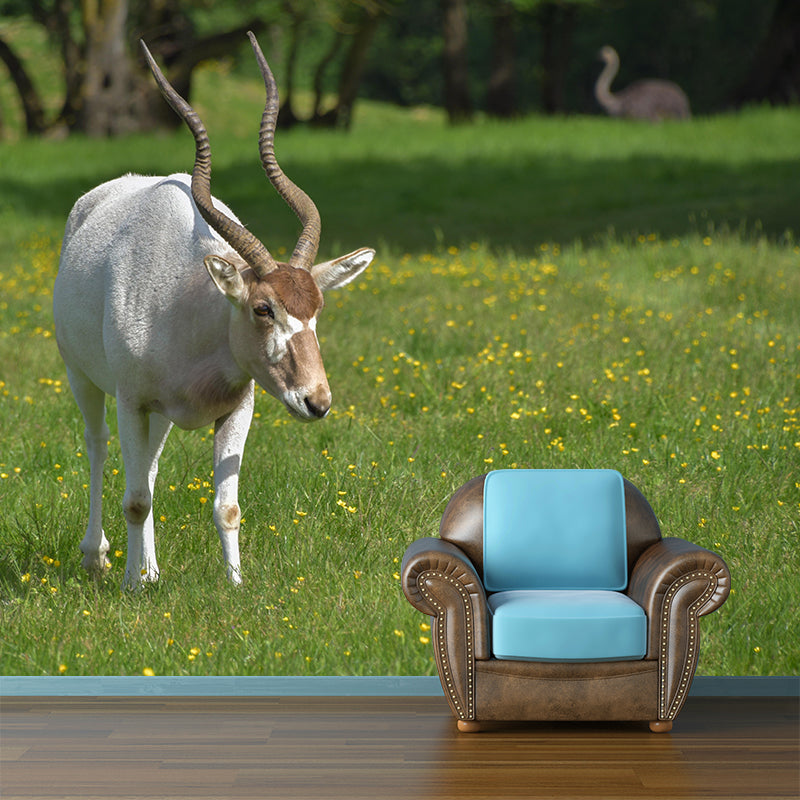 Photography Gazelle Mural Wallpaper for Sitting Room Decor Multiple Sizes Available