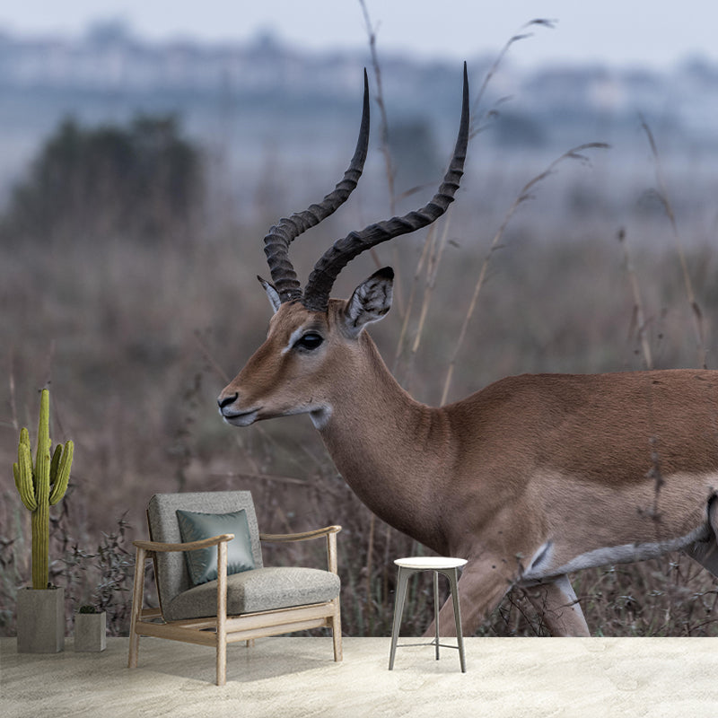 Photography Gazelle Mural Wallpaper for Sitting Room Decor Multiple Sizes Available