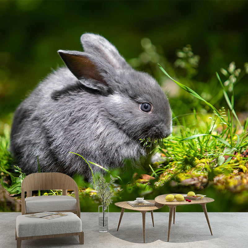 Chinchilla Rabbit Contemporary Wall Mural Modernist Wall Covering for Bedroom Decor