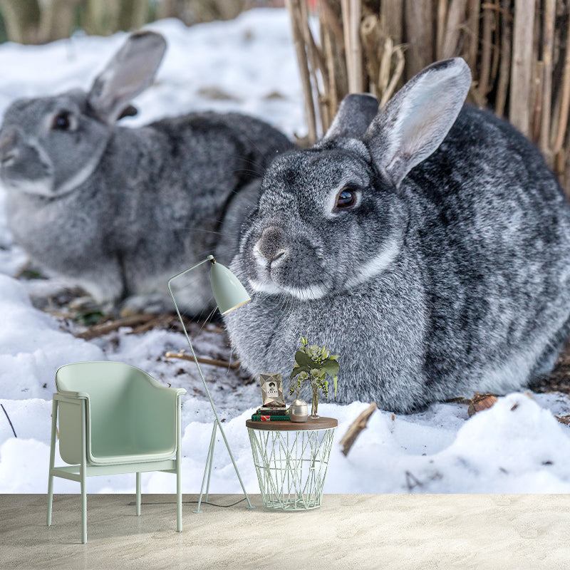 Chinchilla Rabbit Contemporary Wall Mural Modernist Wall Covering for Bedroom Decor