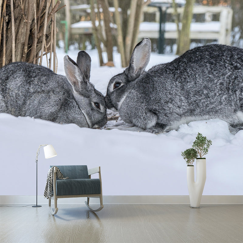 Chinchilla Rabbit Contemporary Wall Mural Modernist Wall Covering for Bedroom Decor