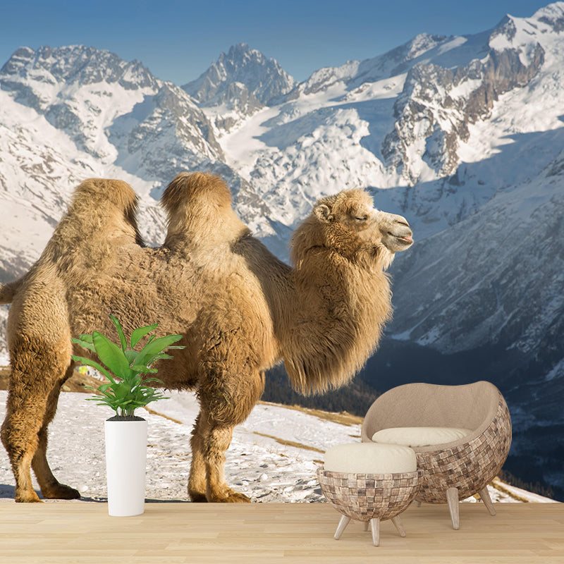 Photography Camel Mural Wallpaper for Sitting Room Decor Multiple Sizes Available
