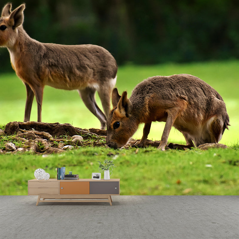 Photography Pampas Rabbit Mural Decorative Wallpaper Decor for Living Room