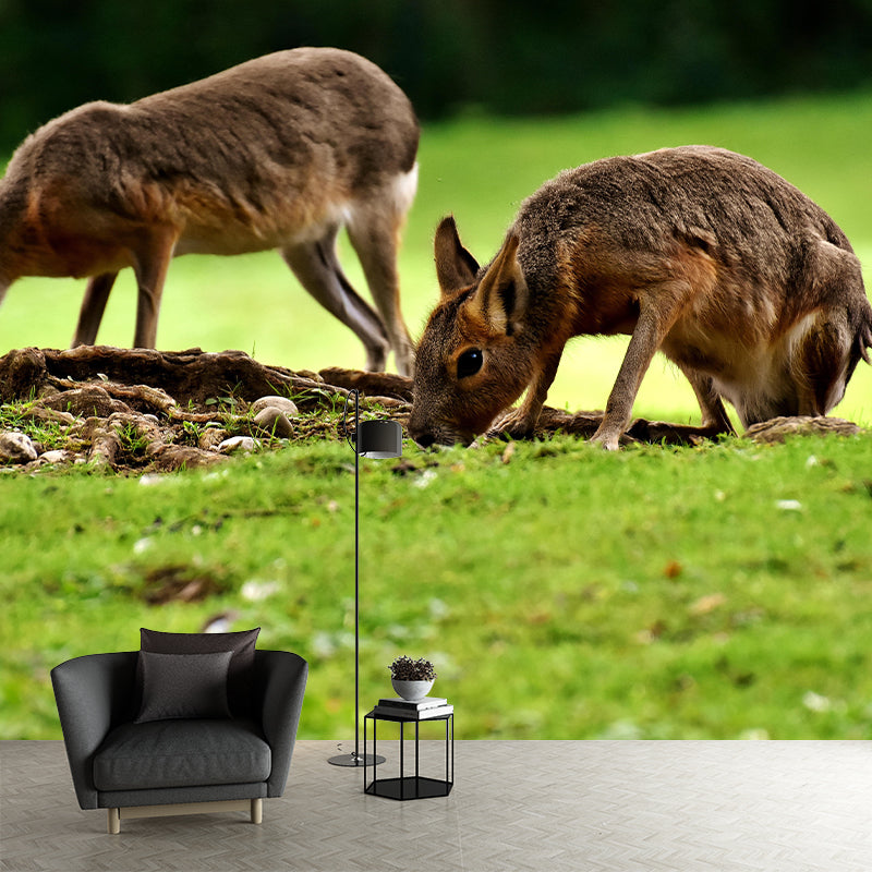 Photography Pampas Rabbit Mural Decorative Wallpaper Decor for Living Room