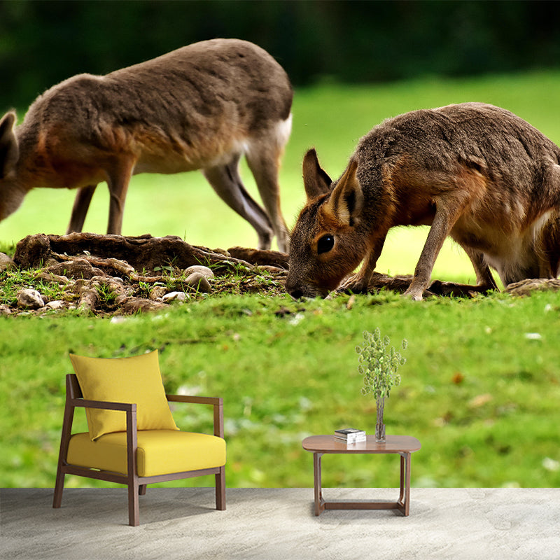 Photography Pampas Rabbit Mural Decorative Wallpaper Decor for Living Room